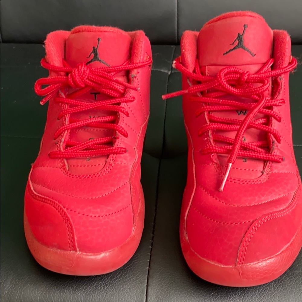 Air Jordan 12 retro 1y Bulls